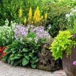 Know Your Plants – Annual vs. Perennial