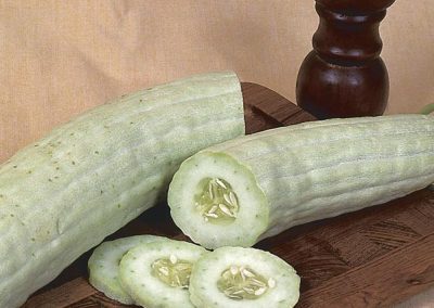 Armenian Cucumber (Cucumis melo var. flexuosus)