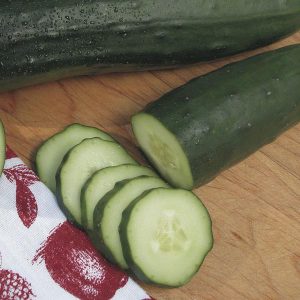 Cucumber (Cucumis sativus)