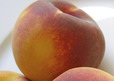 Peach, Belle of Georgia Peach, Freestone Peach ‘Belle of Georgia’ (Prunus persica)