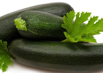 Zucchini, Summer Squash ‘Black Beauty’ (Cucurbita pepo)