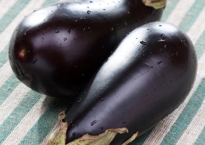 Eggplant, Aubergine ‘Epic’ (Solanum melongena)
