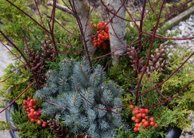DIY Festive Winter Containers When It’s Too Cold for Plants