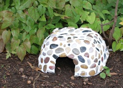How to Make a Toad House