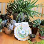 Help with Houseplants: Printable Plant Care Wheel
