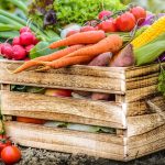 When to Harvest Garden Vegetables