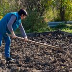 How to Amend Clay Soil