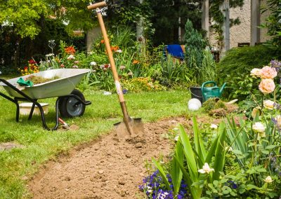 All About Garden Soil and Mulch
