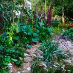 What is a Permaculture Garden?