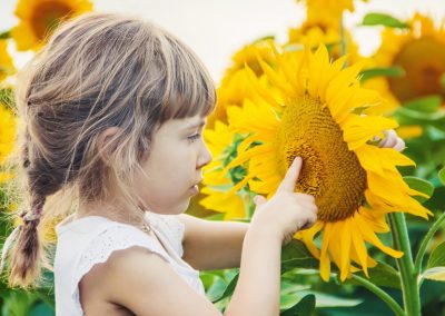 5 Easy Flowers for Kids to Grow