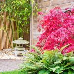 Small Japanese garden-corner garden with maple, fern, bamboo and lantern