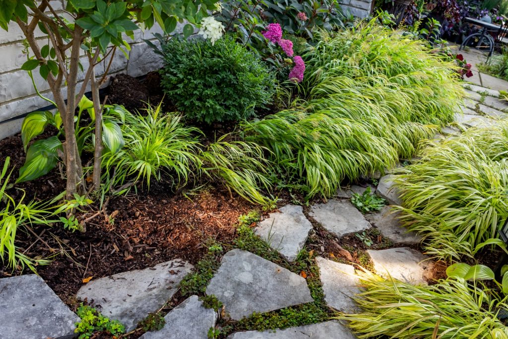 Shady foundation planting includes hosta, hydrangea, and Japanese forest grass.