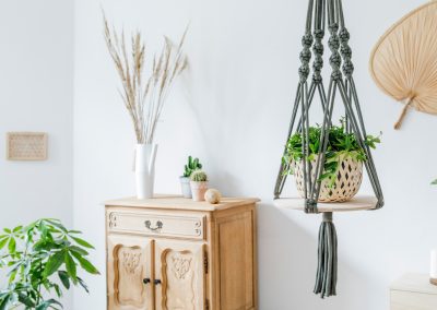 30 of the Best Plants for Hanging Houseplants
