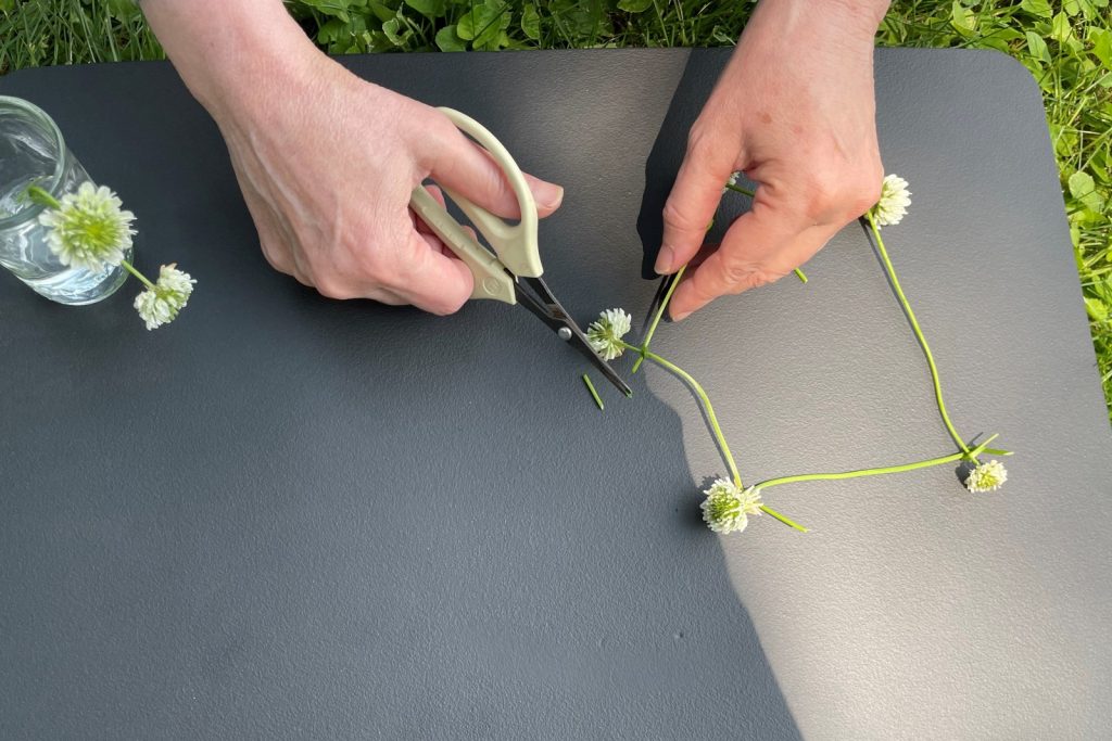Snipping excess stem from a fresh clover flower chain necklace.